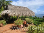 Rancho Pachacuncha, Isla de Margarita