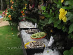 Catering para bodas